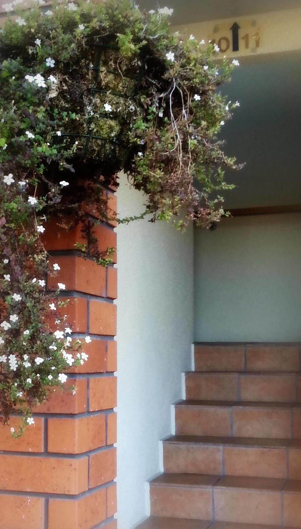 Rosewood Court Motel Christchurch Exterior foto